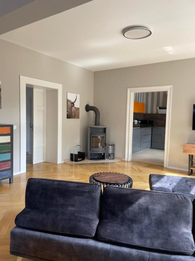 Helle Terrassenwohnung In Traumlage Von Дрезден Экстерьер фото